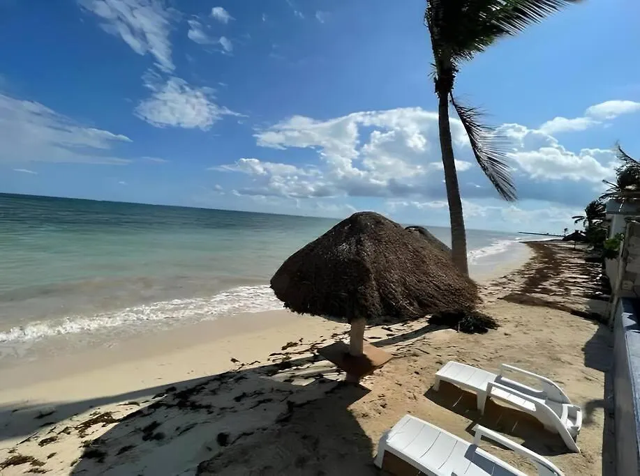 Palma Real By Andiani Travel Apartment Puerto Morelos