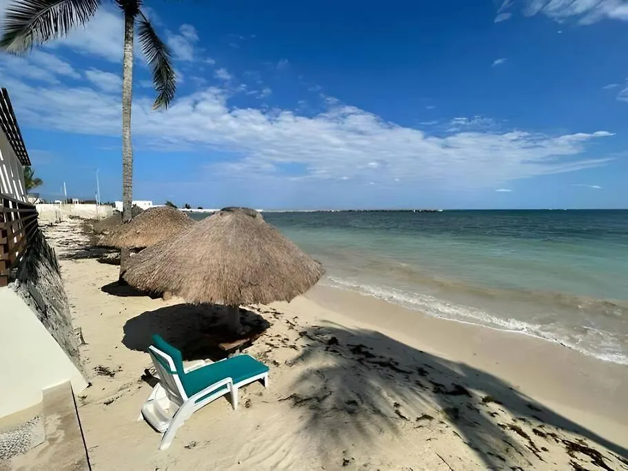 Palma Real By Andiani Travel Apartment Puerto Morelos